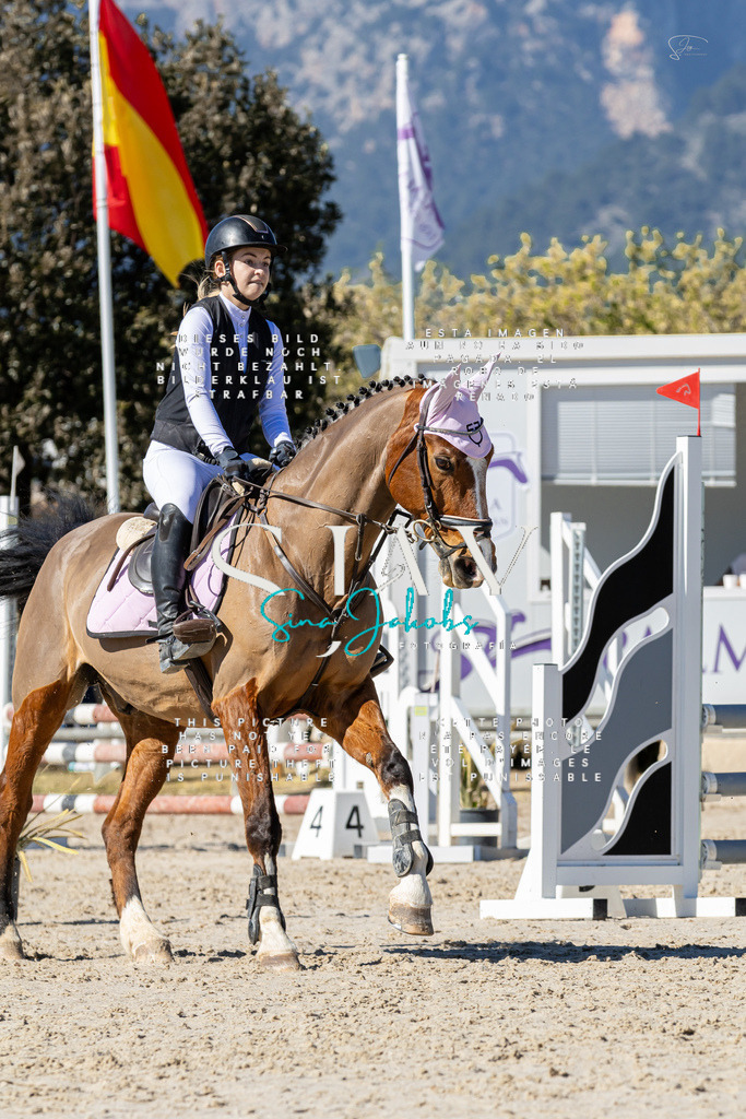 IMG_9551 | s-jay-photography - Realisiert mit Pictrs.com