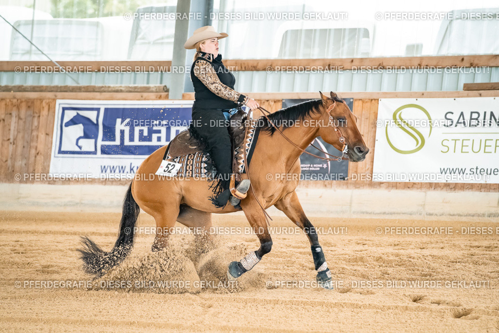 DSC03065 | Pferdegrafie