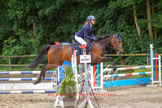 DKP45073 | Turnierfotos kaufen im Webshop von Daniel Kuhl Photography – entdecke professionelle Reitsportfotos aus Turnieren & Events. Hochwertige Turnierbilder online bestellen & sichern. Jetzt Fotos von Reitsportturnieren kaufen!