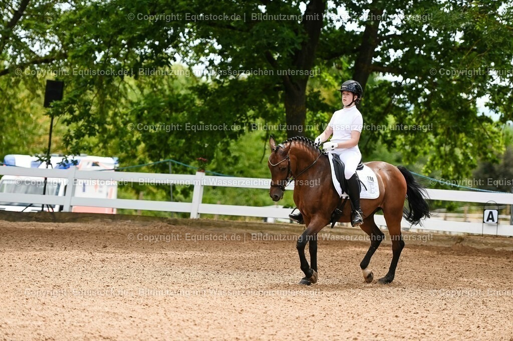 20230715_05_Dressurprüfung Kl.A++_0013 | equistock