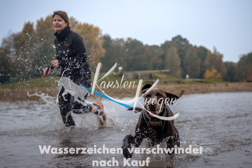 1016_ZZ98845 | kk-dogfotos