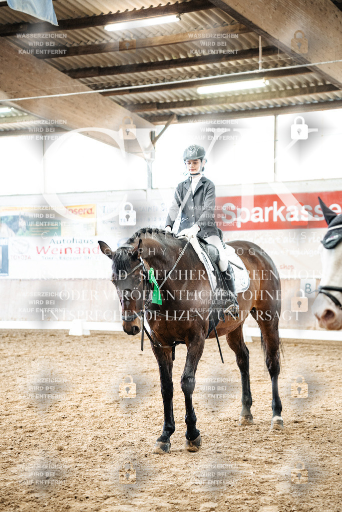 CK703123 | Turnierfotografie Pferdefotografie Trier Rheinland-Pfalz Pferdesport Reitsport Tierfotografie Sportfotografie Pferdevideo Pferdevideografie Equestrianvideography equestrianphotography  - Realisiert mit Pictrs.com