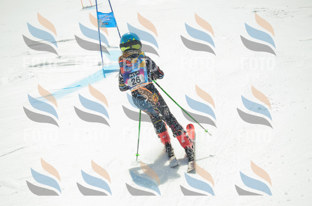 _ELE4821 | holidayphoto