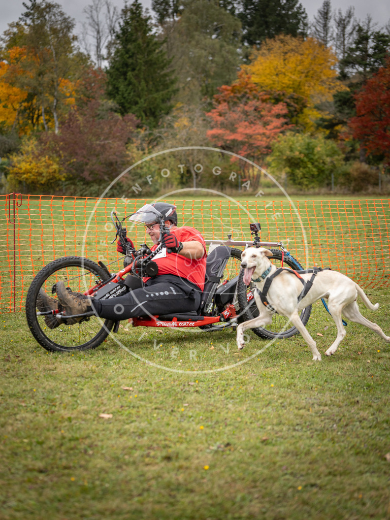 Pfotenfotografie_DV3A3519 | Hundefotografie, Tierfotograf, Pfotenfotografie, Fotoshooting Hund, Hunde Portrait, Hundesport, Hundeportraits, Heideshooting, Hunde, Sportfotograf, Hundefotograf, Turnierhundsport, THS,  - Realisiert mit Pictrs.com
