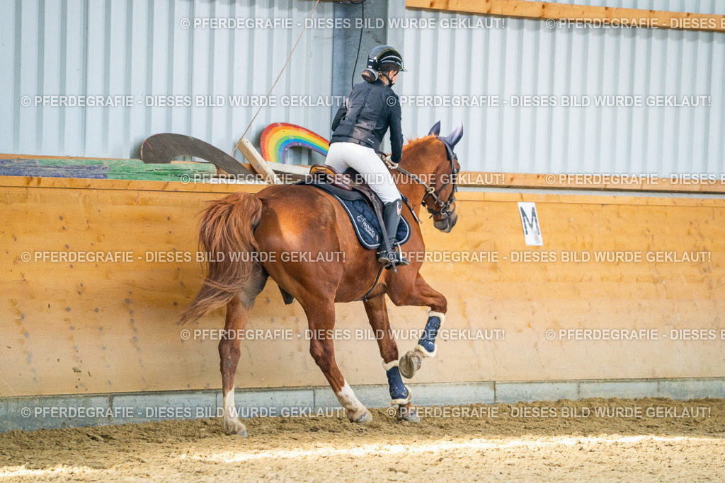 DSC01313 | Pferdegrafie