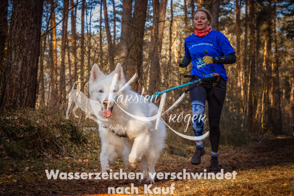 0821_ZZ90558-Bearbeitet | kk-dogfotos