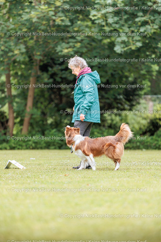 RO-Blumenthal-2026-Nickbest-Hundefotografie-5580 | Dein Hund! Dein Moment! Deine Erinnerungen! Hundefotografie in Bremen Blumenthal. Ich fange die besonderen Momente deines Vierbeiners ein – ob Indoor mit Blitzanlage oder in der freien Natur. Sicher dir dein Moment und dein Termin für eure Erinnerungen.