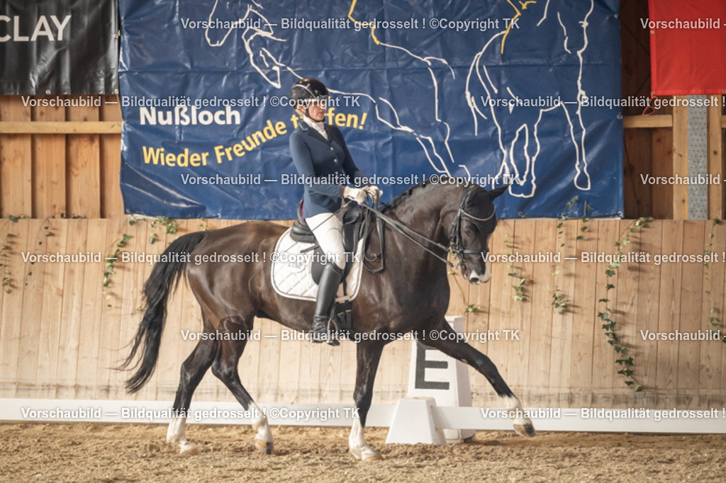 _D5A3032 | Emotionale Pferde- & People-Fotografie rund um Heidelberg, Leimen & Umgebung. Natürliche Fotos von Pferd, Mensch & Familie. Jetzt Termin sichern!