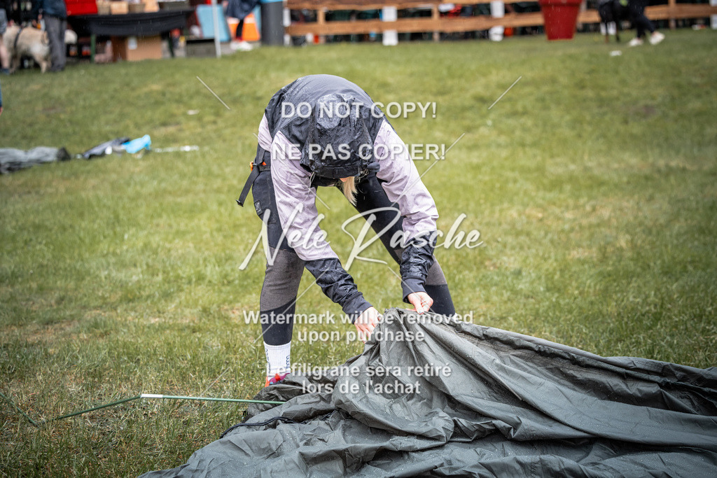 nelerasche_SaAbends_380 | nelerasche