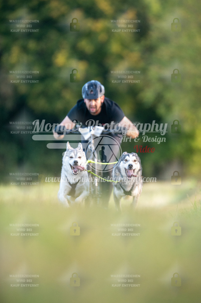 CDLBDB_15_10_2023_Dimanche-57 | PayLife