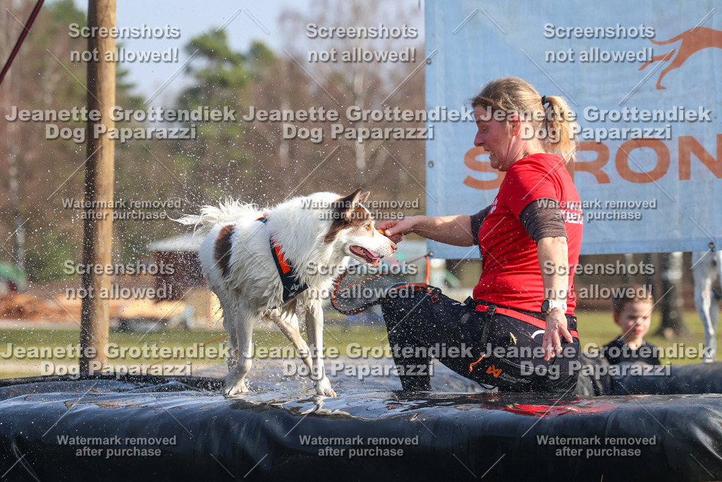 Dog Paparazzi - Strongdog North Mrz26-1862 | Dog Paparazzi Jeanette Grottendiek Fotografie & Videografie - Realisiert mit Pictrs.com