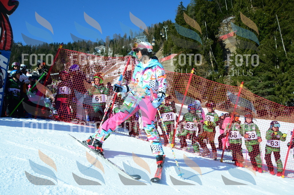 C4800 | holidayphoto