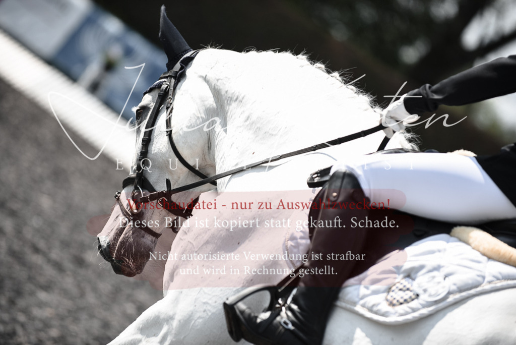 20230513_JK-Röhrsdorf-14-378 | Pferde- und Turnierfotografie in Westsachsen. Pferdeportraits, Auftragszeichnungen und intuitive Kunst.