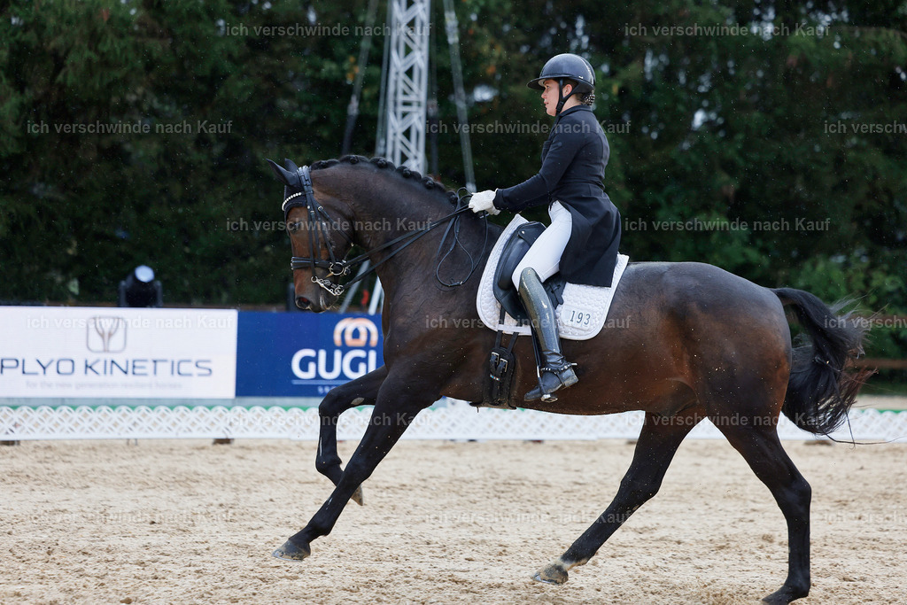 8_2-193-DRESSUR S_  -StoibPH-4514 | working equitationturnier fotograf videograf stoibphotography marixx film working equitation deutschland reitsport turnierfotografie eventfotografie equestrian events