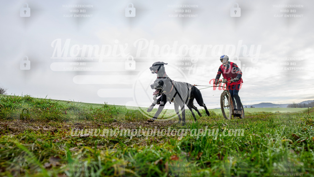 MompixPhotography_Staufertrail2024_SO_DS2-3 | PayLife