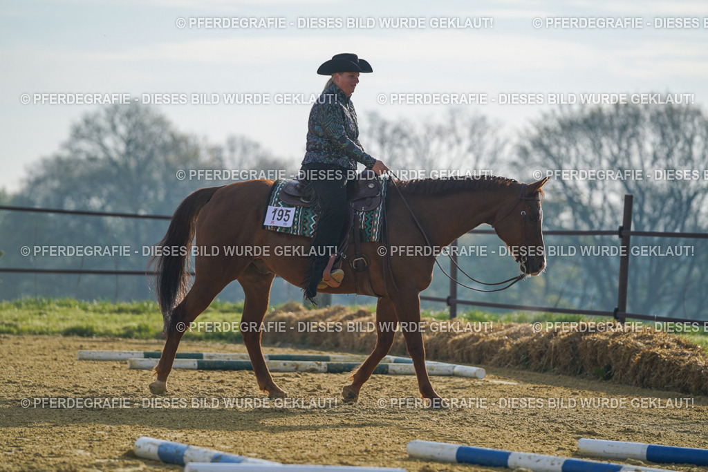 DSC00581 | Pferdegrafie