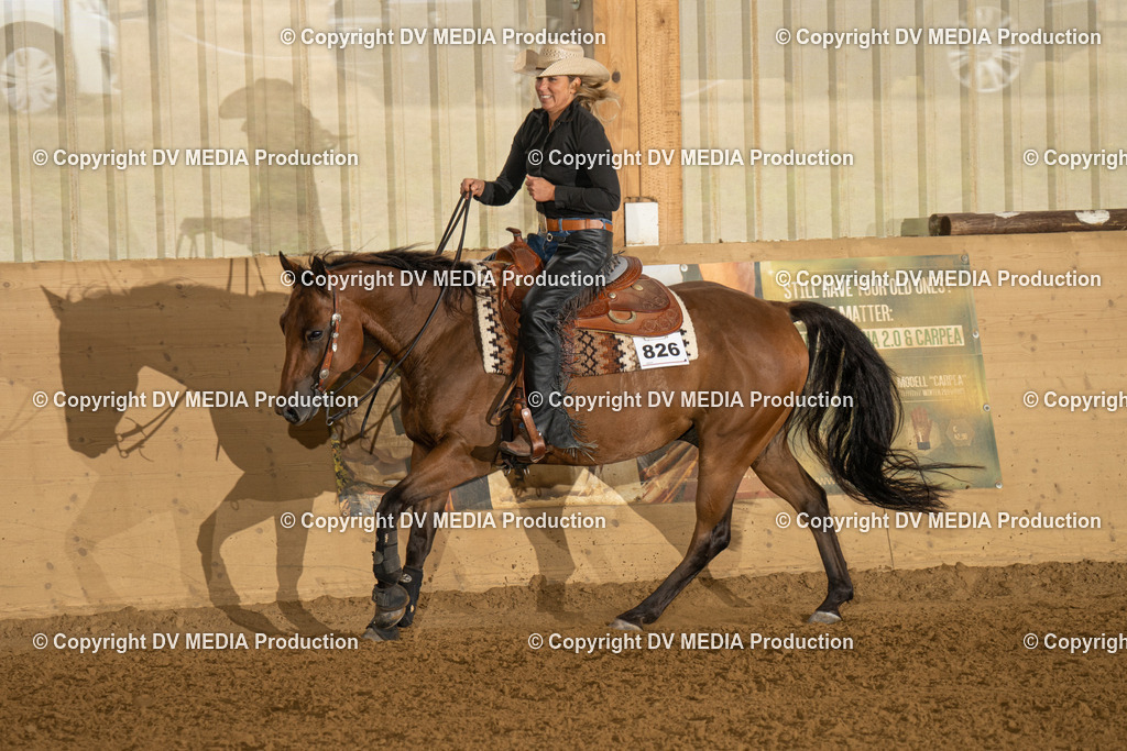 LAU00726 | dv-media-shop - Realisiert mit Pictrs.com