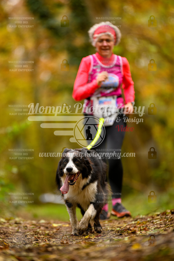 MompixPhotography_Bischwiller24_SA_Canicross-142 | PayLife