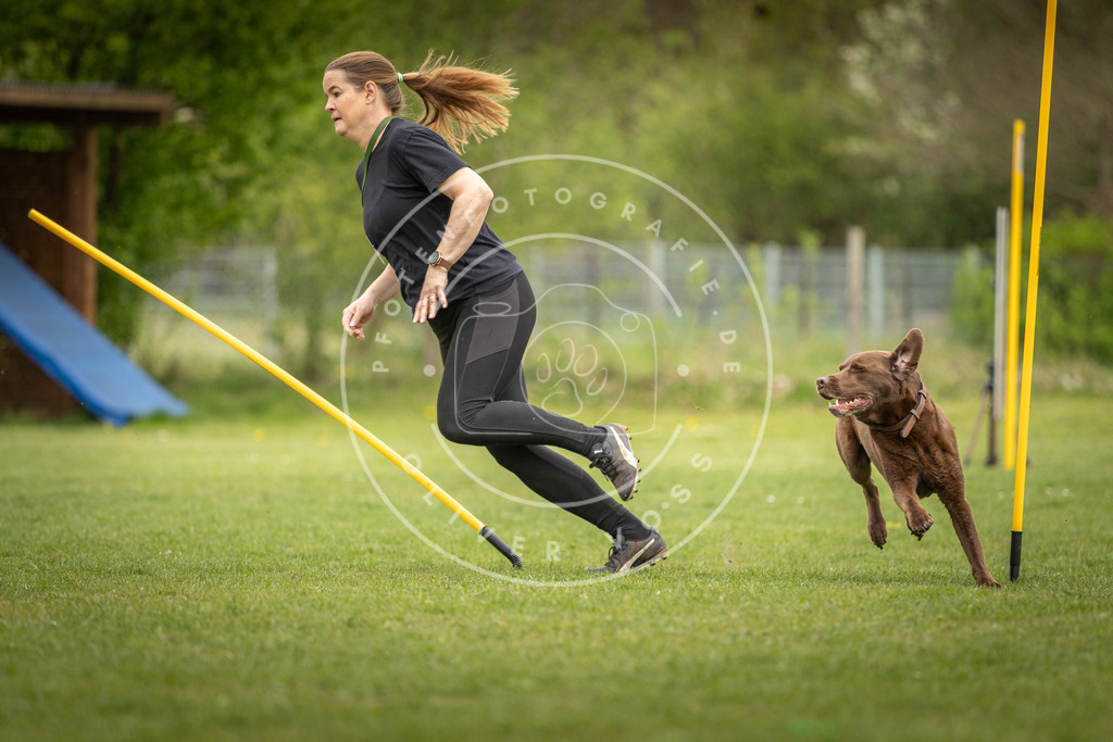 Pfotenfotografie_DV3A9380 | Hundefotografie, Tierfotograf, Pfotenfotografie, Fotoshooting Hund, Hunde Portrait, Hundesport, Hundeportraits, Heideshooting, Hunde, Sportfotograf, Hundefotograf, Turnierhundsport, THS,  - Realisiert mit Pictrs.com