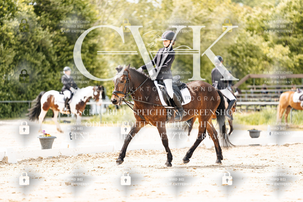 CK901803 | Turnierfotografie Pferdefotografie Trier Rheinland-Pfalz Pferdesport Reitsport Tierfotografie Sportfotografie Pferdevideo Pferdevideografie Equestrianvideography equestrianphotography  - Realisiert mit Pictrs.com
