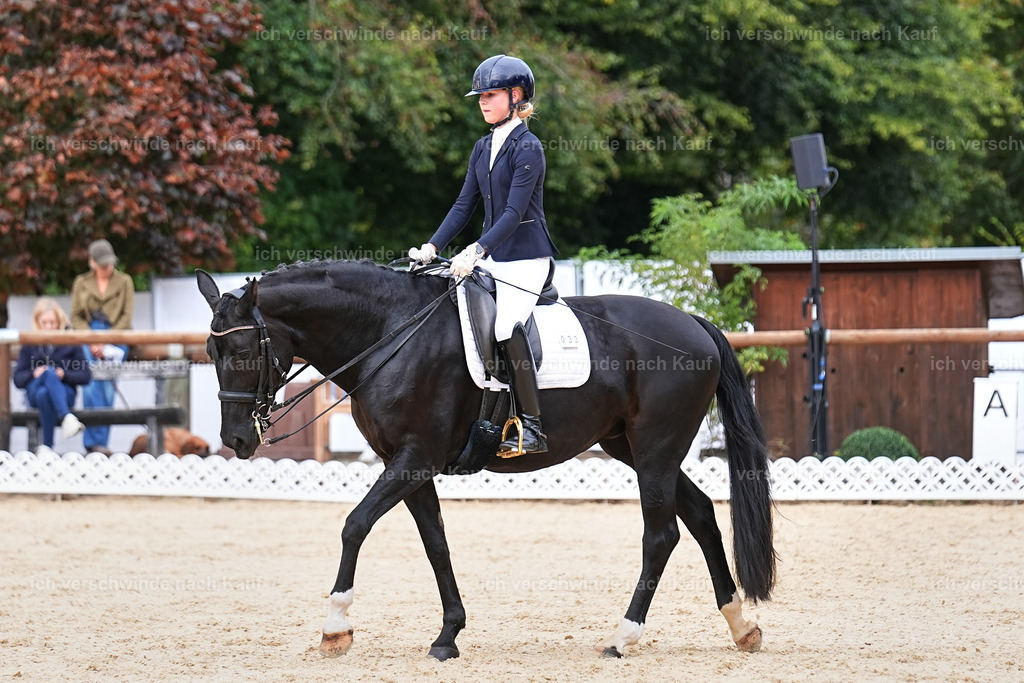 04_1-033-Dressur M__ -Marixx-2762 | working equitationturnier fotograf videograf stoibphotography marixx film working equitation deutschland reitsport turnierfotografie eventfotografie equestrian events