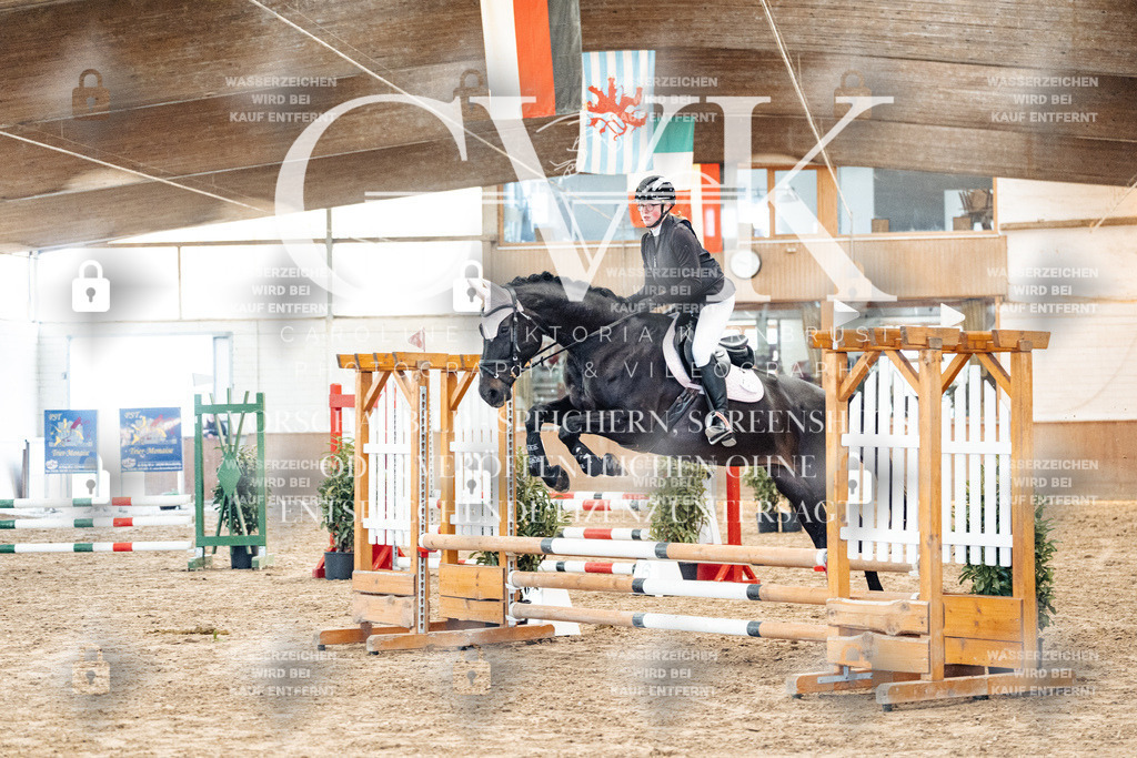 CK903974 | Turnierfotografie Pferdefotografie Trier Rheinland-Pfalz Pferdesport Reitsport Tierfotografie Sportfotografie Pferdevideo Pferdevideografie Equestrianvideography equestrianphotography  - Realized with Pictrs.com