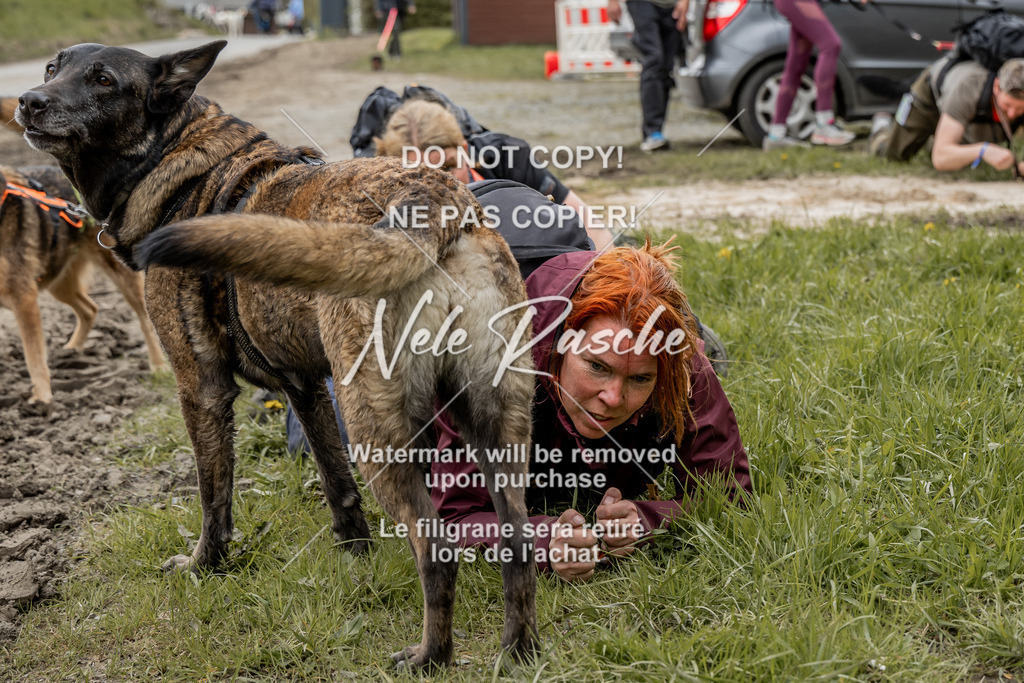 NR__2810 | nelerasche