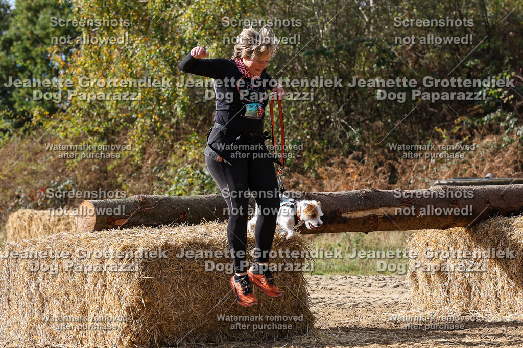 Dog Paparazzi - Strongdog 10-25-5299 | Dog Paparazzi Jeanette Grottendiek Fotografie & Videografie - Realisiert mit Pictrs.com