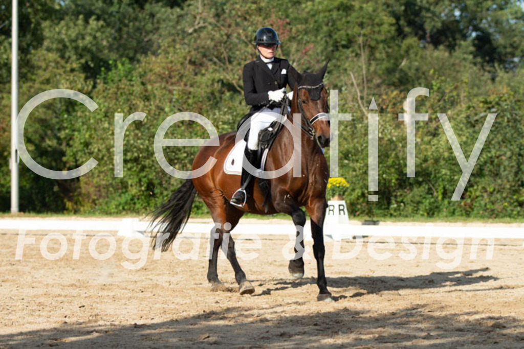 IMG_5020 | Creatify Fotografie