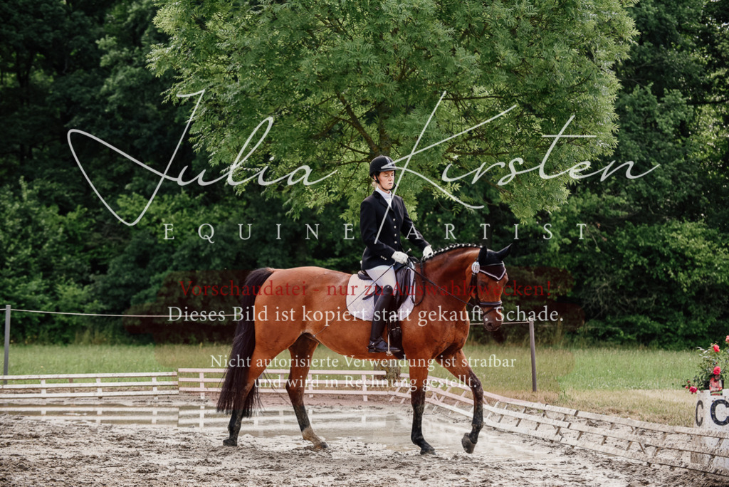 DSC_9759 | Pferde- und Turnierfotografie in Westsachsen. Pferdeportraits, Auftragszeichnungen und intuitive Kunst.