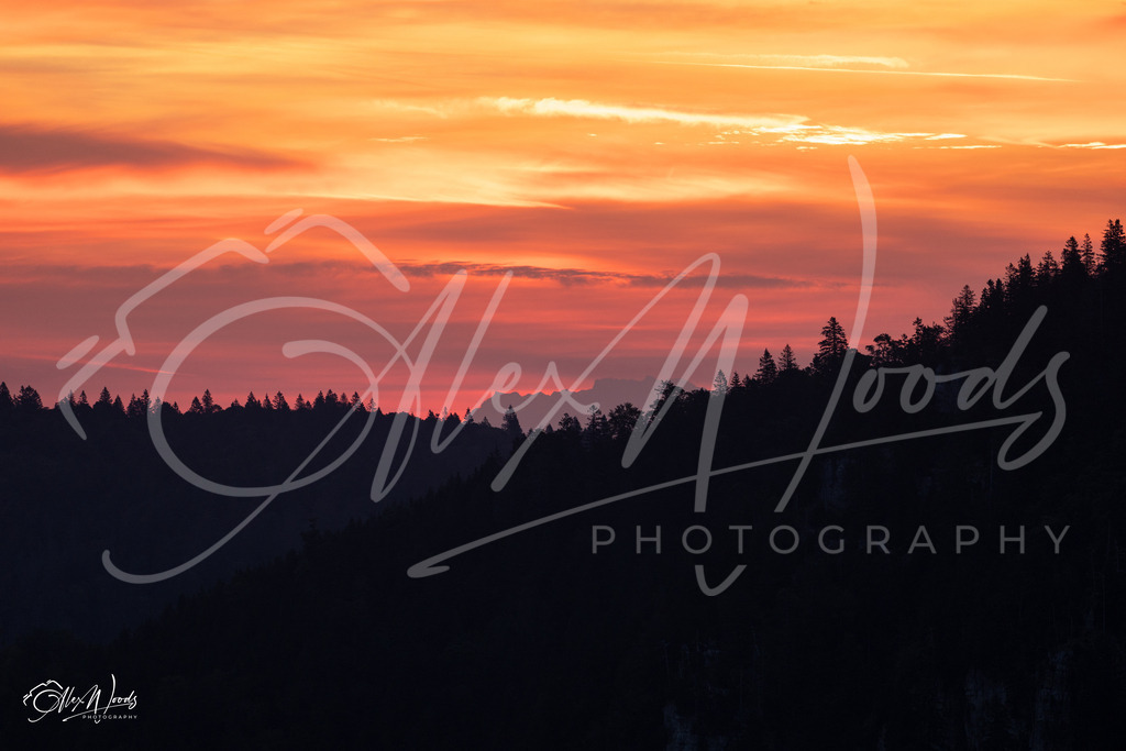 20240922_070858_SA933383_AlexWoods_FullSize | Alex Woods Photography