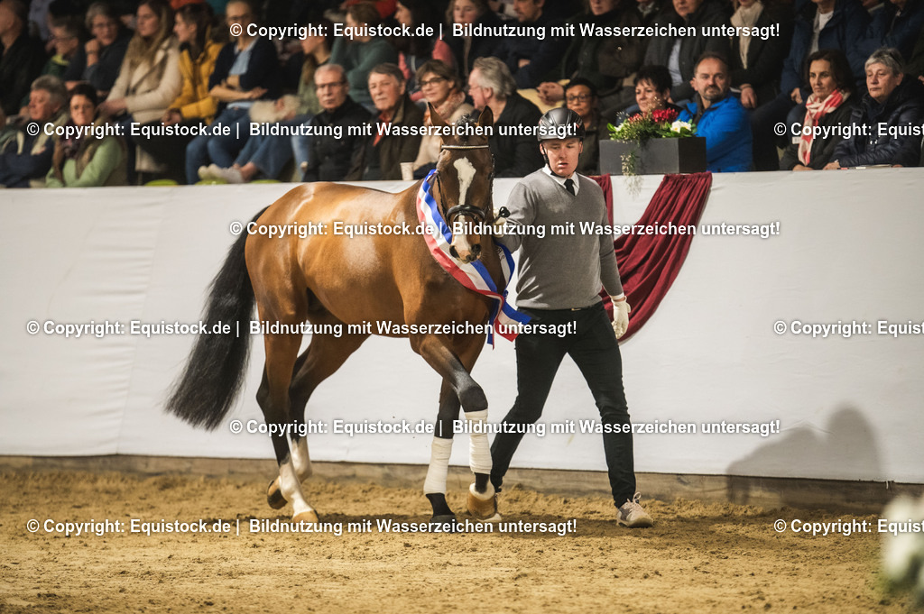 20240302_Hengstvorstellung_Marbach_TOMsPiC_0464 | equistock