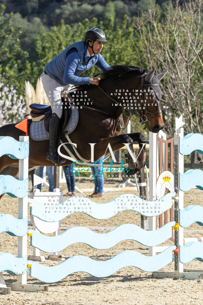 IMG_3990 | s-jay-photography - Realisiert mit Pictrs.com