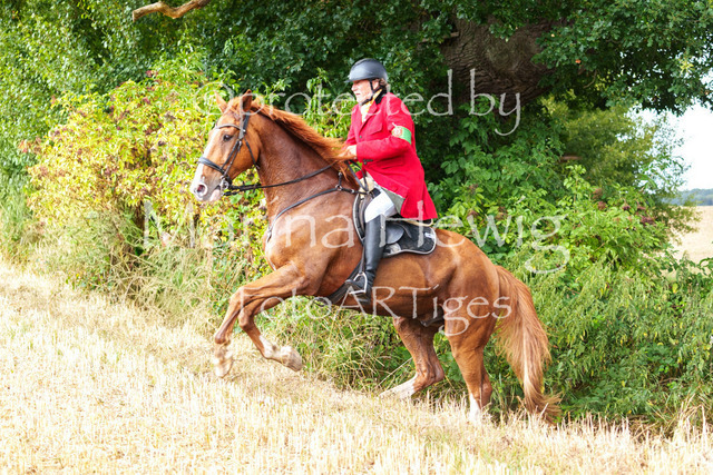 Jagd Knoop 26_MarinaHewigMCH02538 | Fotografie, FotoArt, PferdesportArt, Pferdesportfotografie, Landschaftsfotografie, Reisefotografie, Reise, Pferde - Realisiert mit Pictrs.com