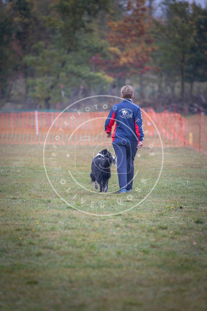 Pfotenfotografie_DV3A9095 | Hundefotografie, Tierfotograf, Pfotenfotografie, Fotoshooting Hund, Hunde Portrait, Hundesport, Hundeportraits, Heideshooting, Hunde, Sportfotograf, Hundefotograf, Turnierhundsport, THS,  - Realisiert mit Pictrs.com