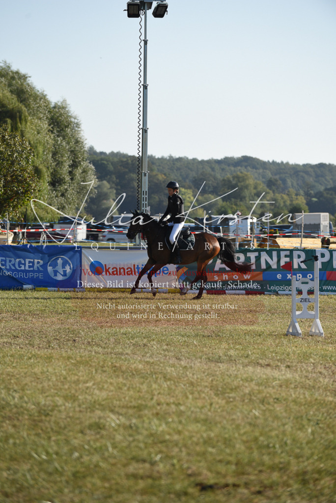DSC_5544 | Pferde- und Turnierfotografie in Westsachsen. Pferdeportraits, Auftragszeichnungen und intuitive Kunst.