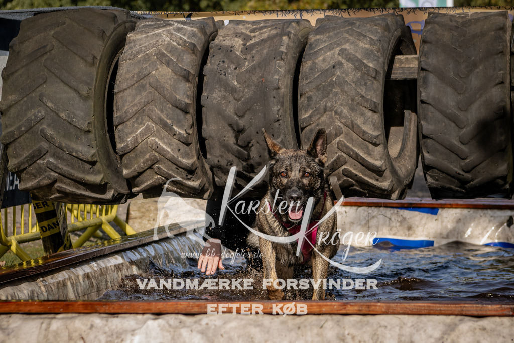 1320_ZZ92444 | kk-dogfotos
