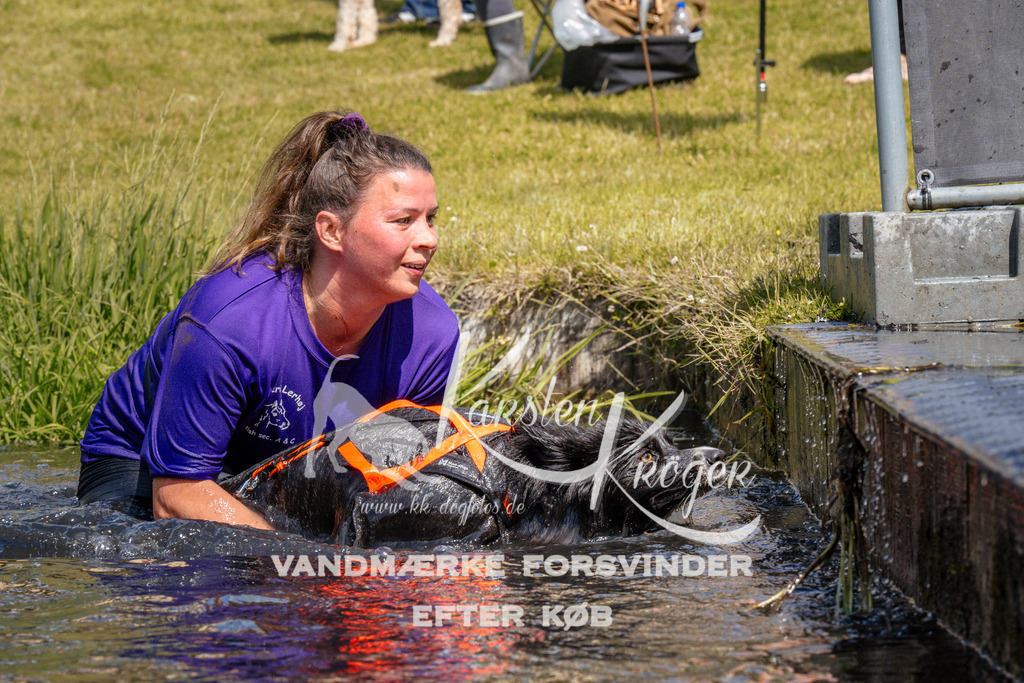 _ZZ976071030 | kk-dogfotos