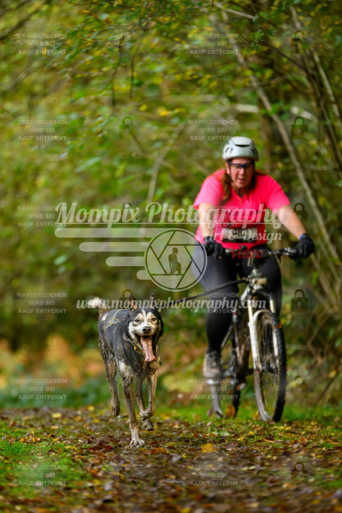 MompixPhotography_20TSB_E1_Bike-60 | PayLife