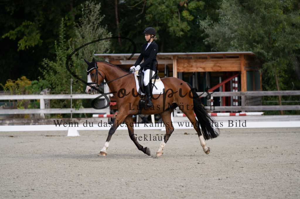 A7V06807 | Turnier/Reitfotograf