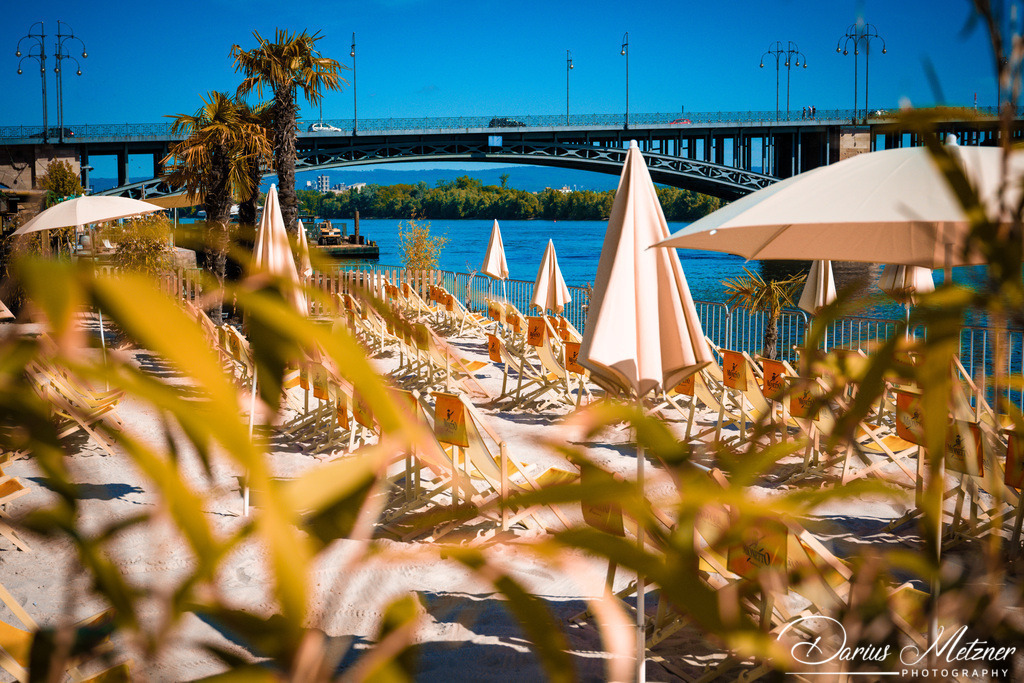 Der Mainzstrand in Mainz am Rheinufer | Der Mainzstrand in Mainz am Rheinufer