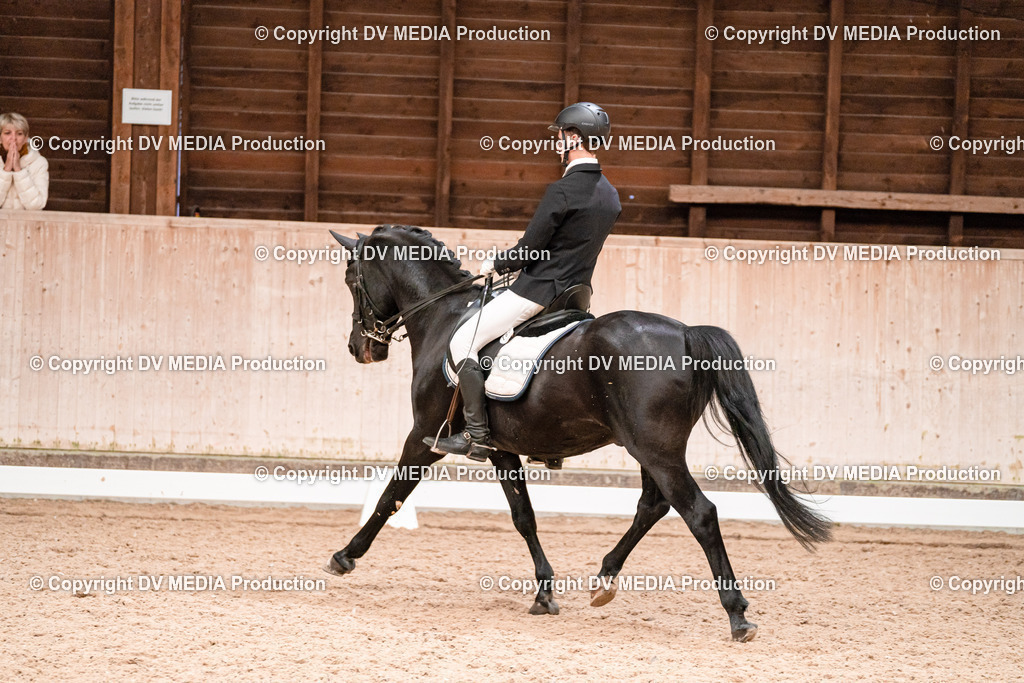 Dressur Tag 3-367 | dv-media-shop - Realisiert mit Pictrs.com