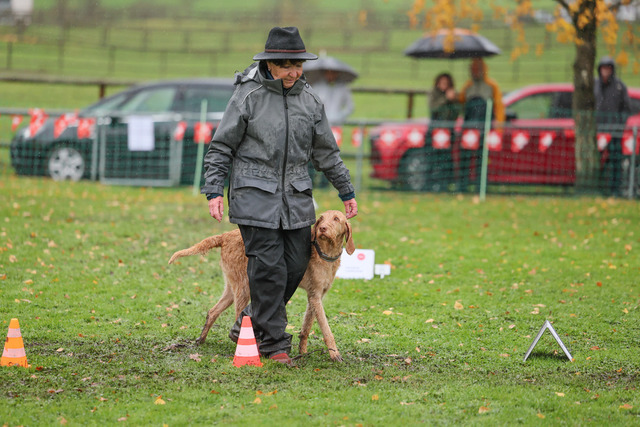 2025_Rally_Obedience_SM-234 | Ich fotografiere Hundeausstellungen, Sportanlässe, Zuchtstätten, Hundezucht, Hundeportrait, Lagotto - Realisiert mit Pictrs.com