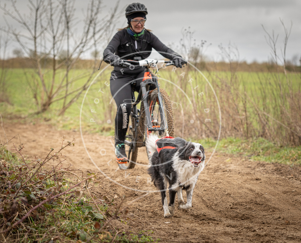 DV3A1127 | Hundefotografie, Tierfotograf, Pfotenfotografie, Fotoshooting Hund, Hunde Portrait, Hundesport, Hundeportraits, Heideshooting, Hunde, Sportfotograf, Hundefotograf, Turnierhundsport, THS,  - Realisiert mit Pictrs.com