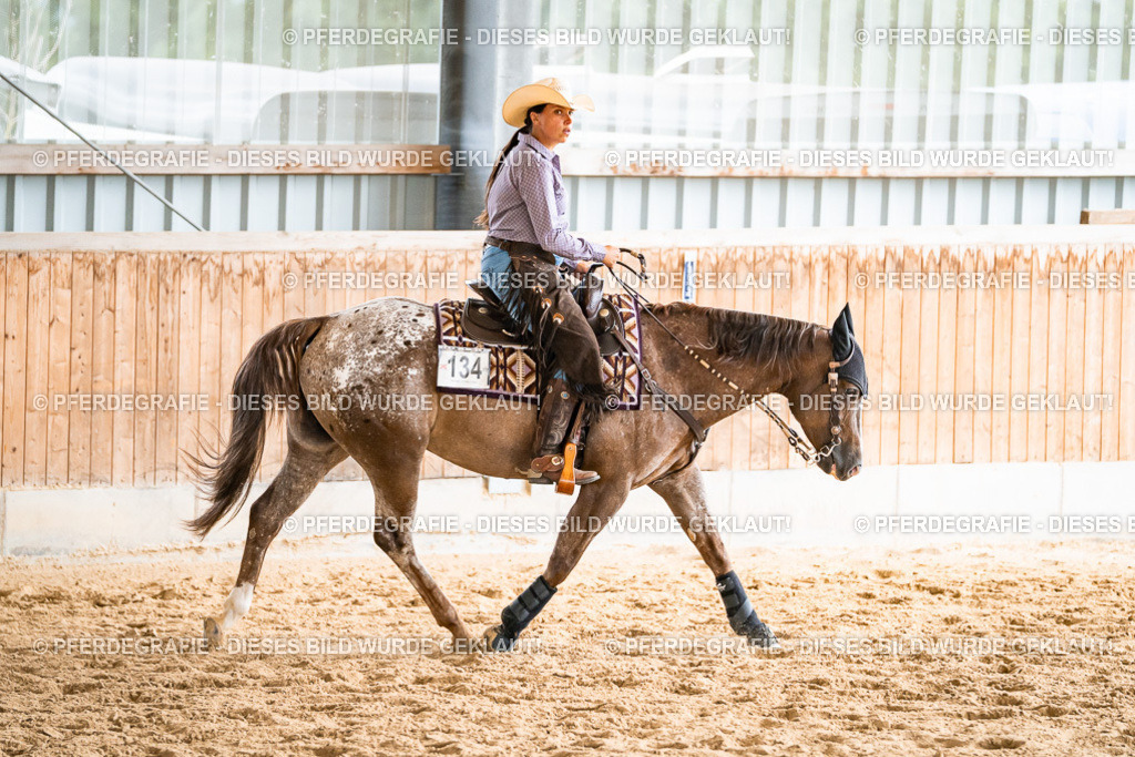 DSC00711 | Pferdegrafie