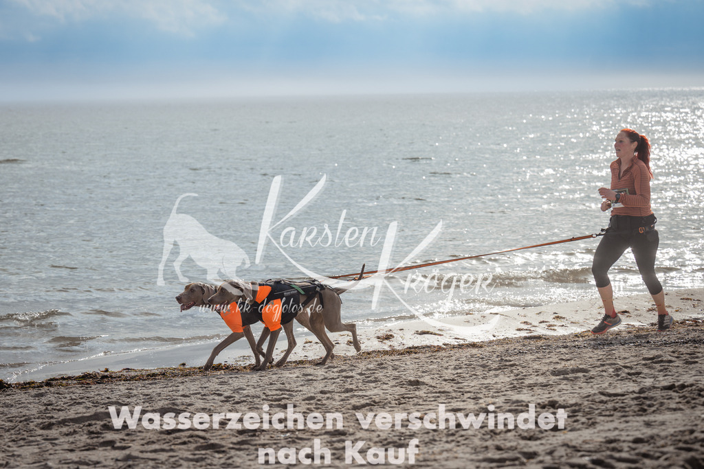 1155_ZZ92543 | kk-dogfotos