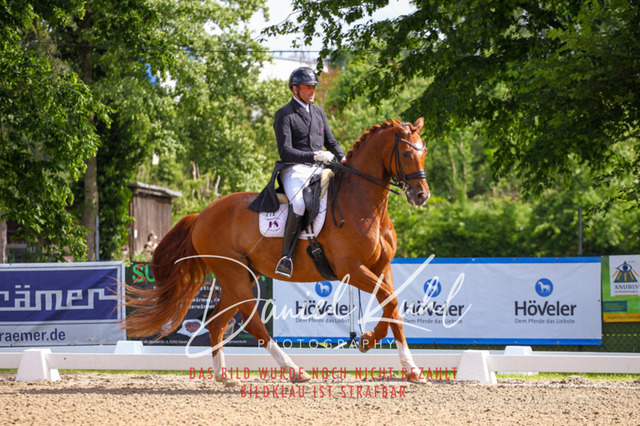 DKP41327 | Turnierfotos kaufen im Webshop von Daniel Kuhl Photography – entdecke professionelle Reitsportfotos aus Turnieren & Events. Hochwertige Turnierbilder online bestellen & sichern. Jetzt Fotos von Reitsportturnieren kaufen!