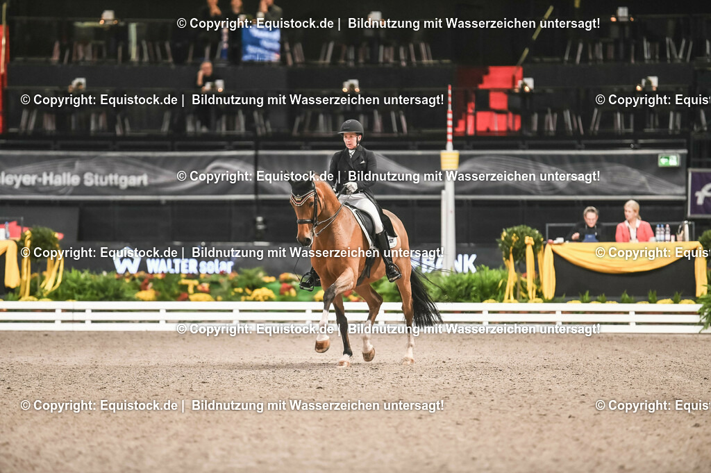 20231115_20_Dressur_Kl-S++_0484_TOMsPiC | Foto: Thomas Hartig