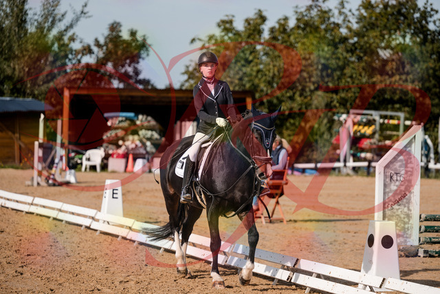 2026_10_03_Siefer-Hof_121653_Z63_40456301 | Professionelle Reitsport-, Turnier- und Eventfotografie von Robert Broda. Galerien mit ausgewählten und bearbeiteten Bildern direkt online ansehen und bestellen.