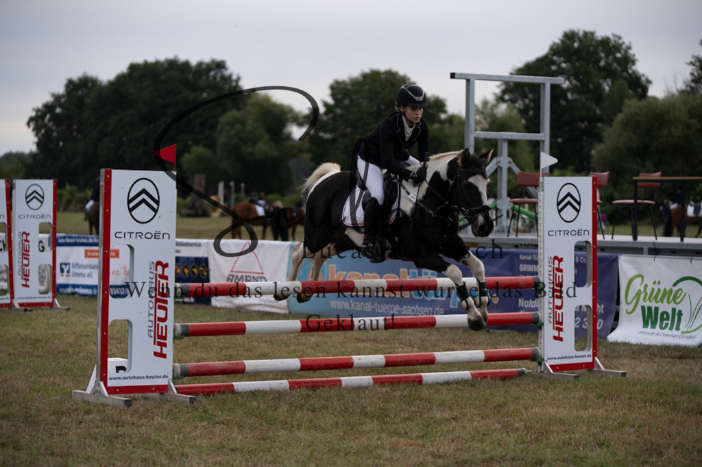 A7V07932 | Turnier/Reitfotograf